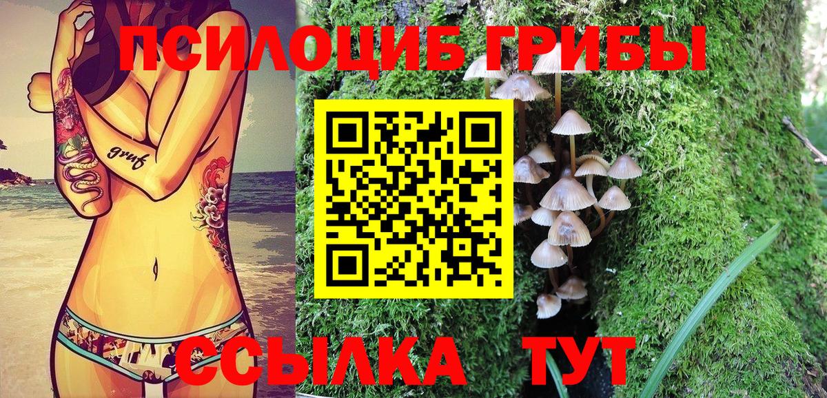 Галлюциногенные грибы Psilocybine cubensis Бор