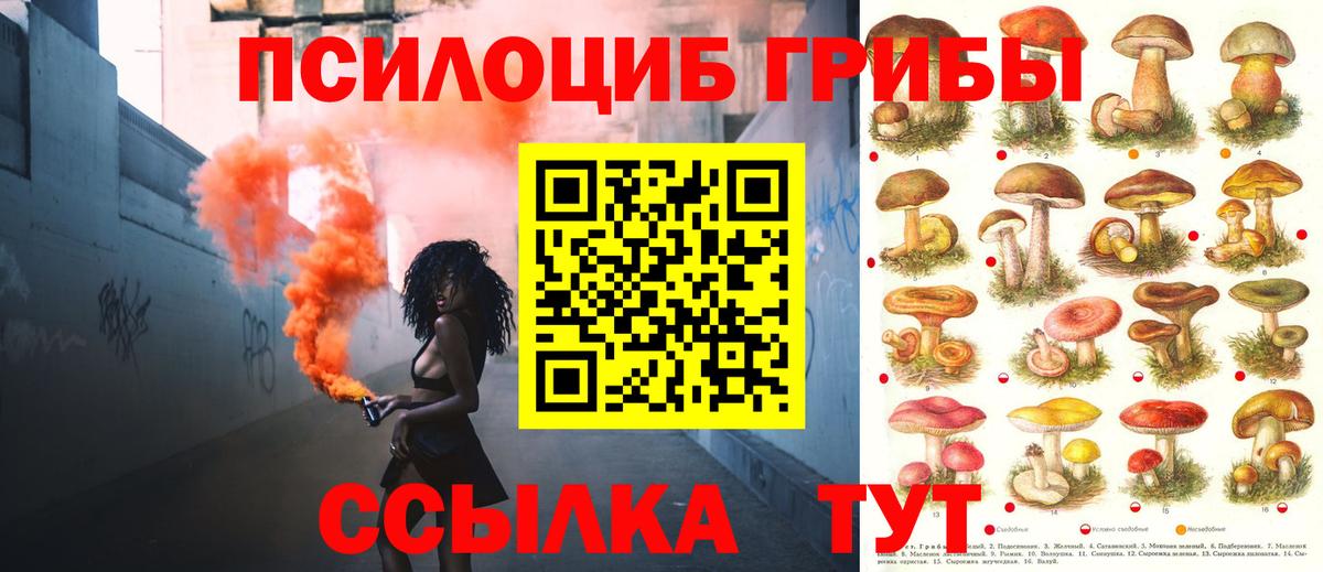 Псилоцибиновые грибы Psilocybine cubensis  Вход с VPN  Бор  Псилоцибиновые грибы Psilocybine cubensis 